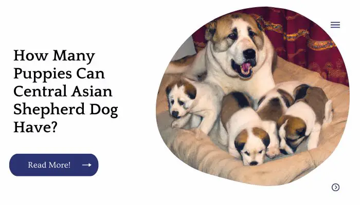 How Many Puppies Can Central Asian Shepherd Dog Have?