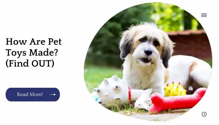 How Are Pet Toys Made? (Find OUT)