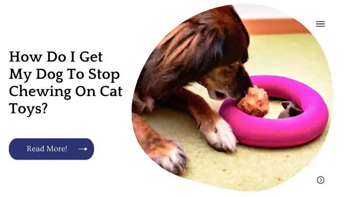 How Do I Get My Dog To Stop Chewing On Cat Toys?