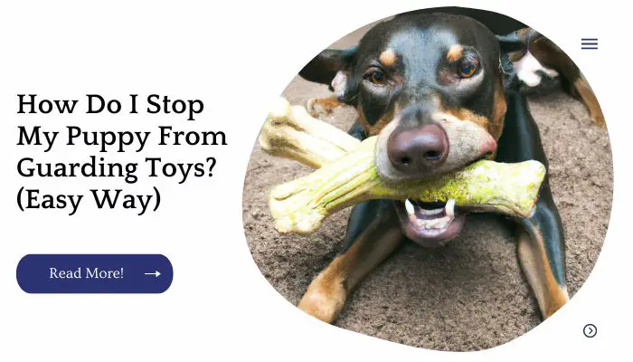 How Do I Stop My Puppy From Guarding Toys? (Easy Way)