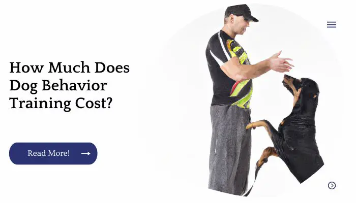 How Much Does Dog Behavior Training Cost?
