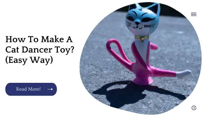 How To Make A Cat Dancer Toy? (Easy Way)
