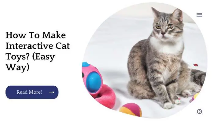 How To Make Interactive Cat Toys? (Easy Way)