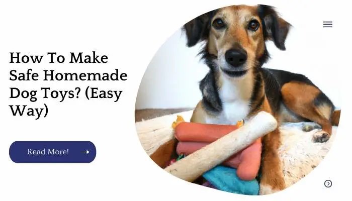 How To Make Safe Homemade Dog Toys? (Easy Way)
