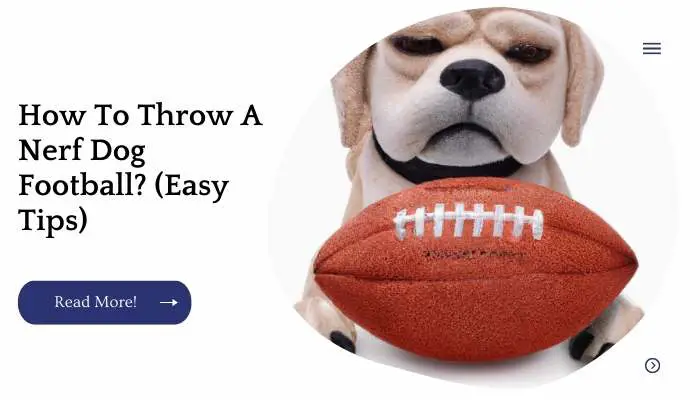 How To Throw A Nerf Dog Football? (Easy Tips)