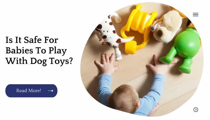 Is It Safe For Babies To Play With Dog Toys?