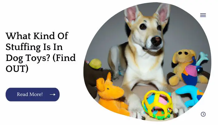 What Kind Of Stuffing Is In Dog Toys? (Find OUT)