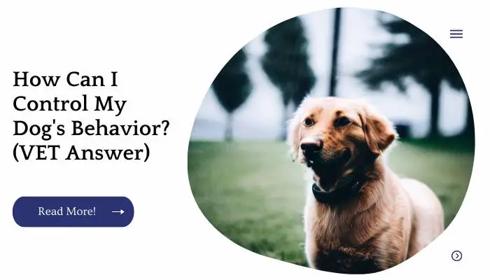 How Can I Control My Dog's Behavior? (VET Answer)