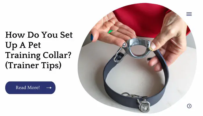 How Do You Set Up A Pet Training Collar? (Trainer Tips)
