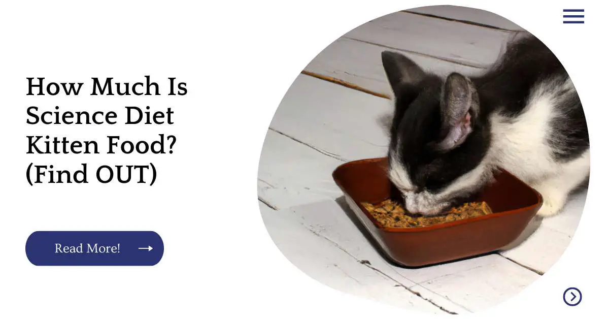 How Much Is Science Diet Kitten Food? (Find OUT)