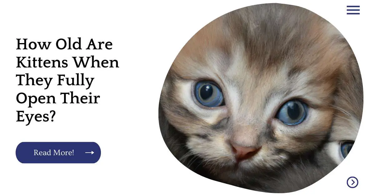 How Old Are Kittens When They Fully Open Their Eyes?