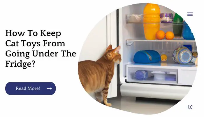 How To Keep Cat Toys From Going Under The Fridge?