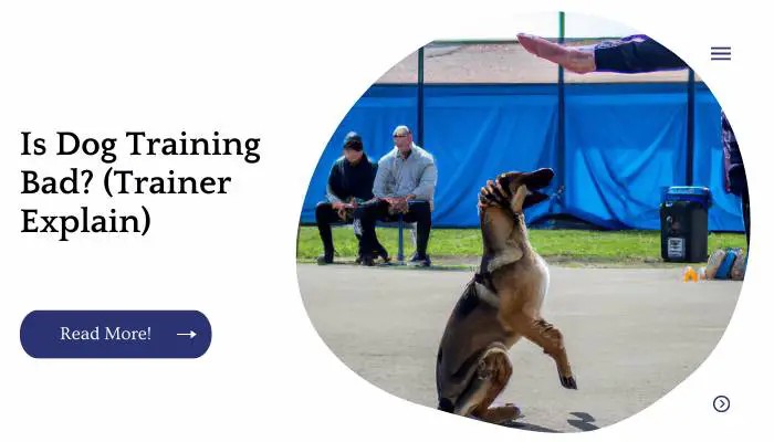 Is Dog Training Bad? (Trainer Explain)