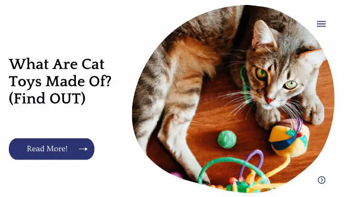 What Are Cat Toys Made Of? (Find OUT)