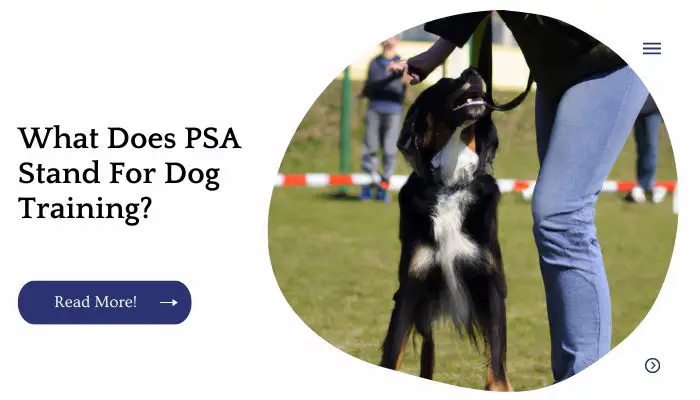What Does PSA Stand For Dog Training?