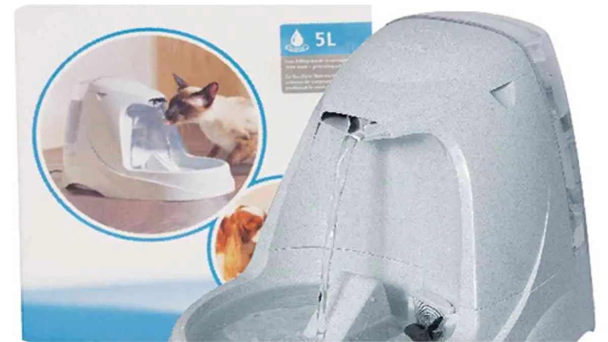 Why Is Your Rabbit's Drinkwell Fountain Not Working? Tips and Tricks