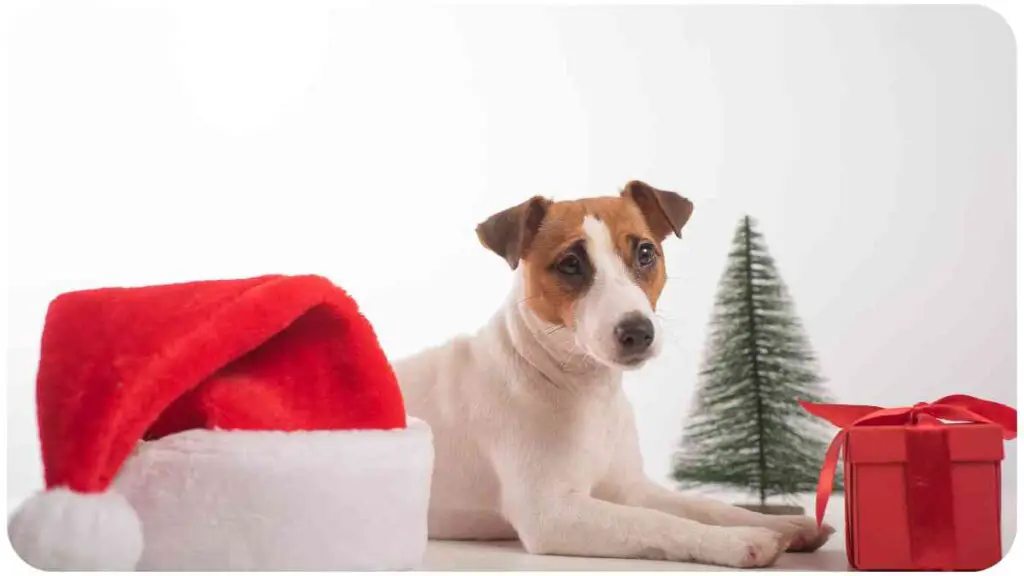 a dog wearing a Santa hat and sitting next to a Christmas tree