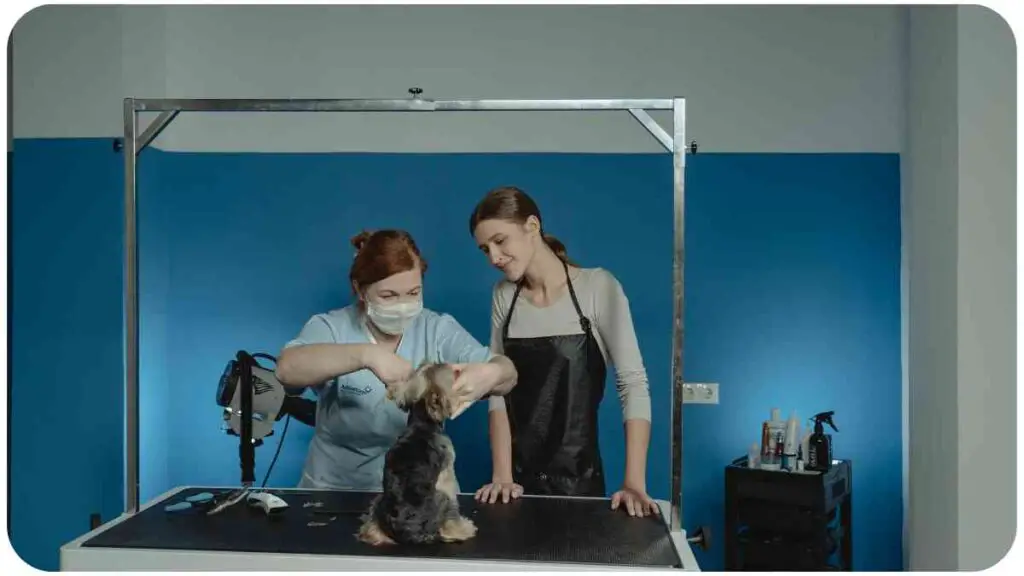 two people standing in front of a table with a dog on it