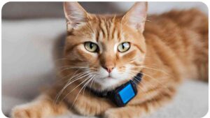 Troubleshooting Common Issues with Your Cat's GPS Collar