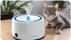 What Do Blinking Lights on Your PetKit Water Fountain Mean?